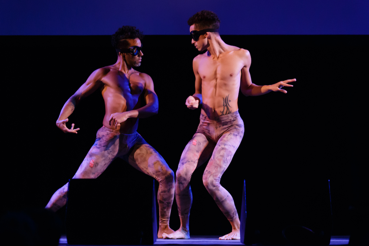 "Dice(s)" performed by Tisch Dancers.